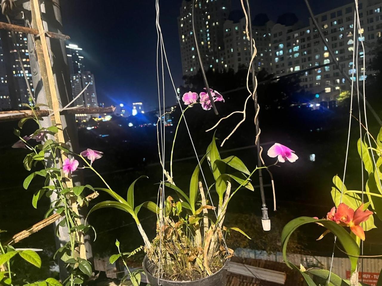 May House Binhthanh Ho Si Minh-város Kültér fotó