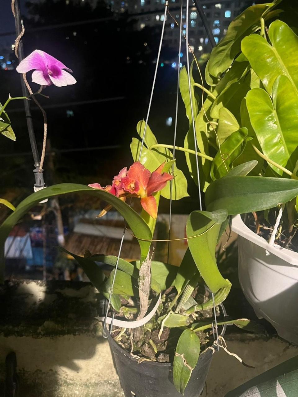 May House Binhthanh Ho Si Minh-város Kültér fotó